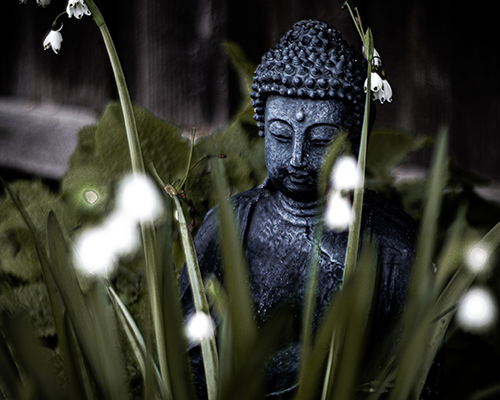 buddha